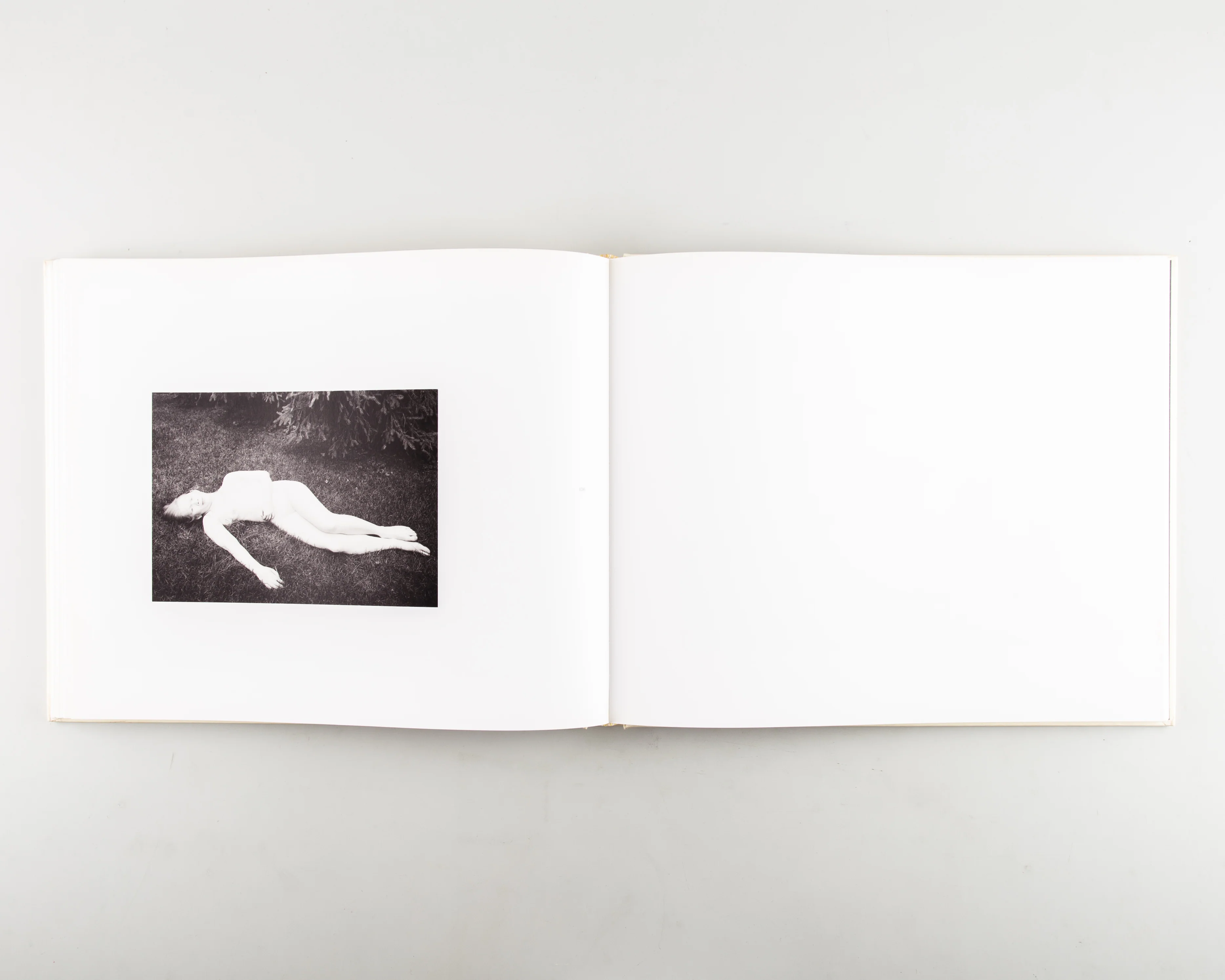 Carnal Knowledge - Image 3