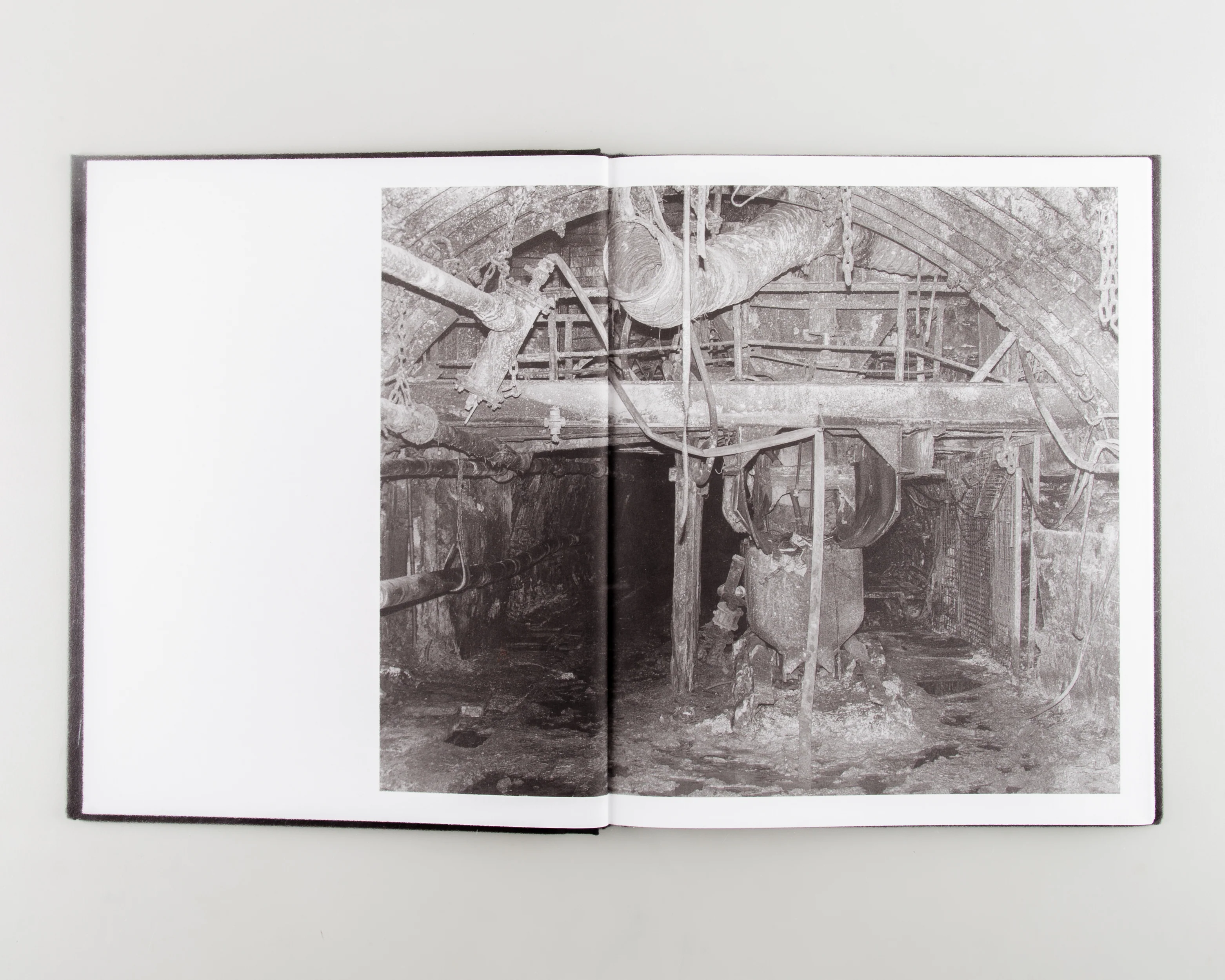 EXTRACTION - Image 2