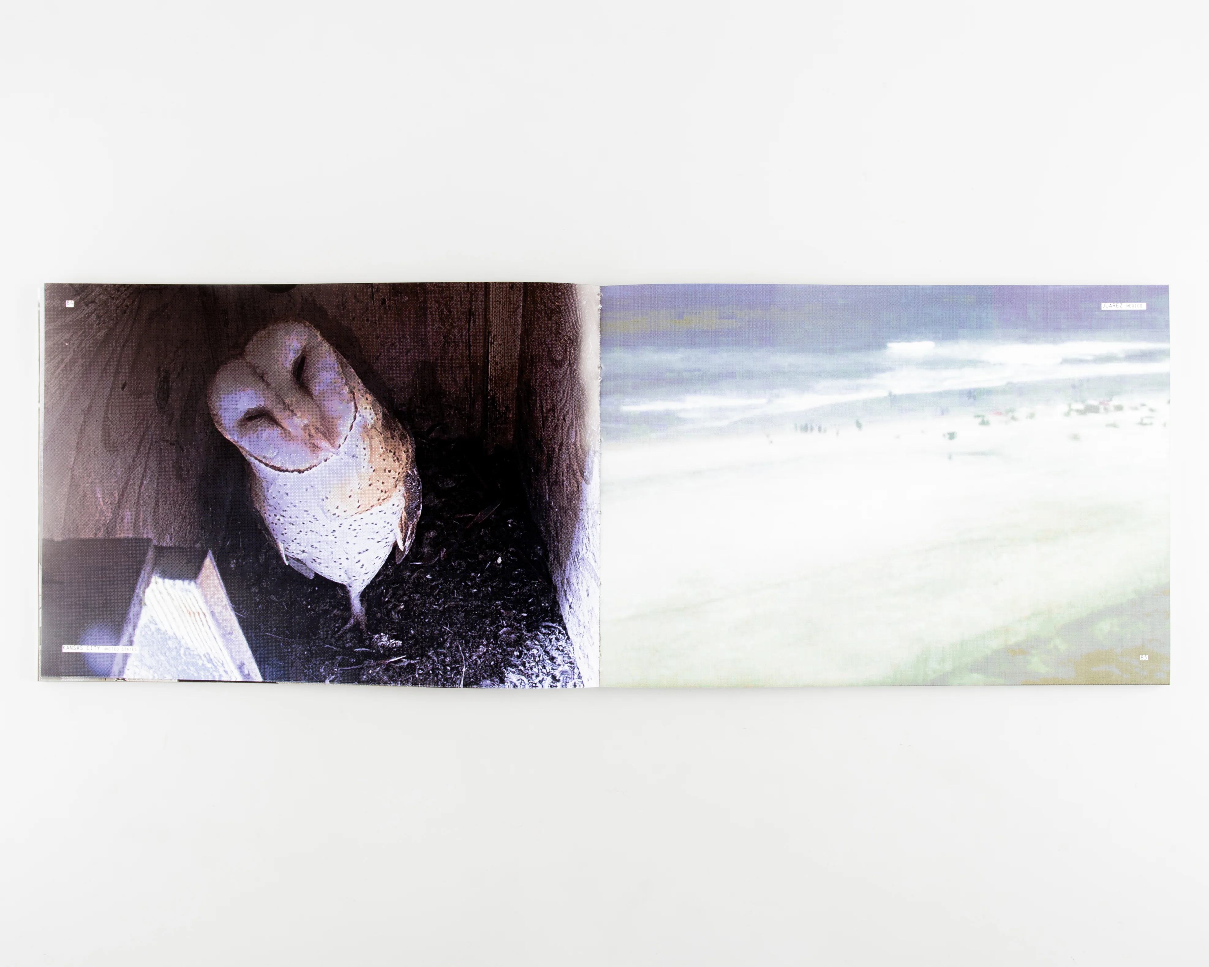 I'm In Your Walls - Image 5