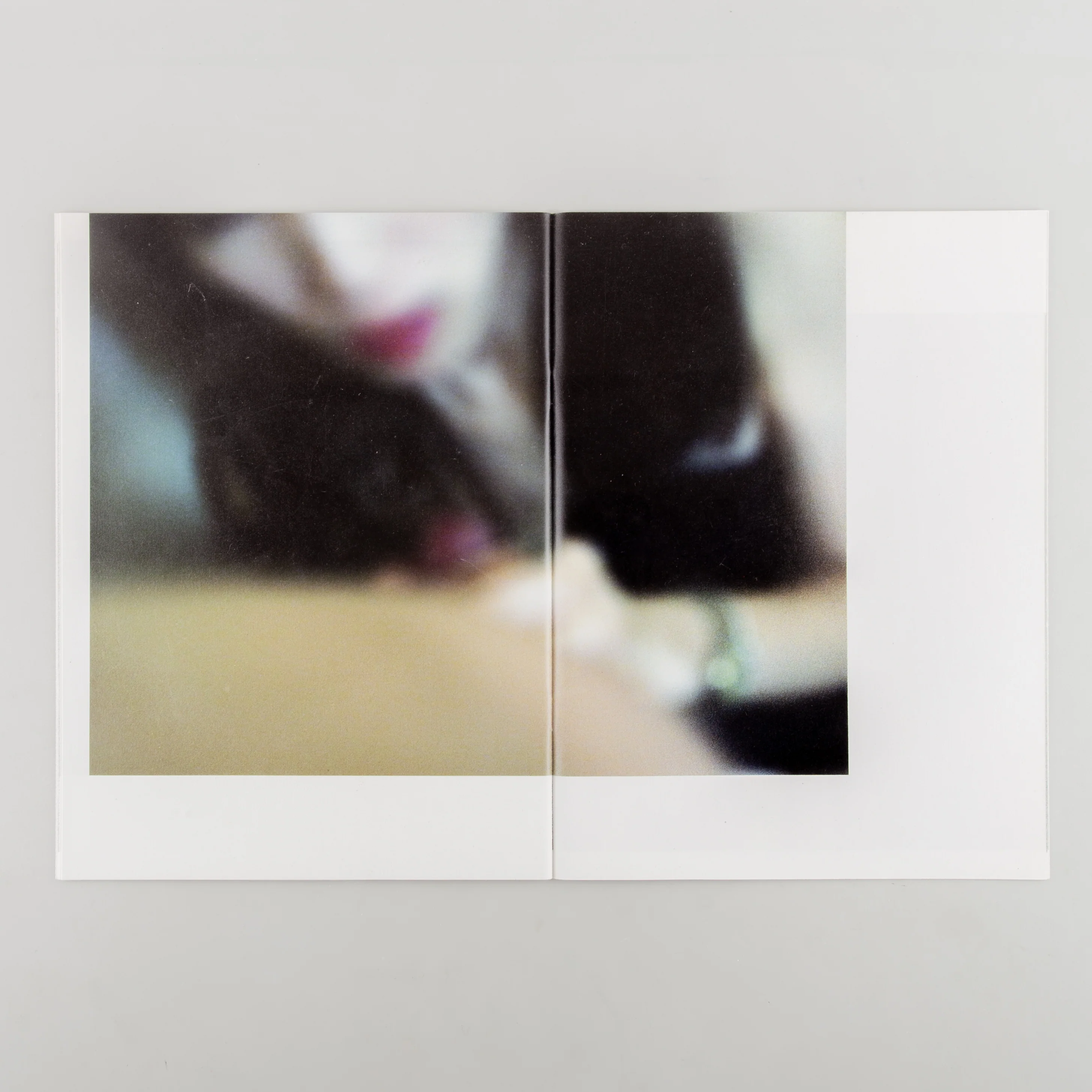 Landscapes: The Takashi Homma Purple Book - Image 5