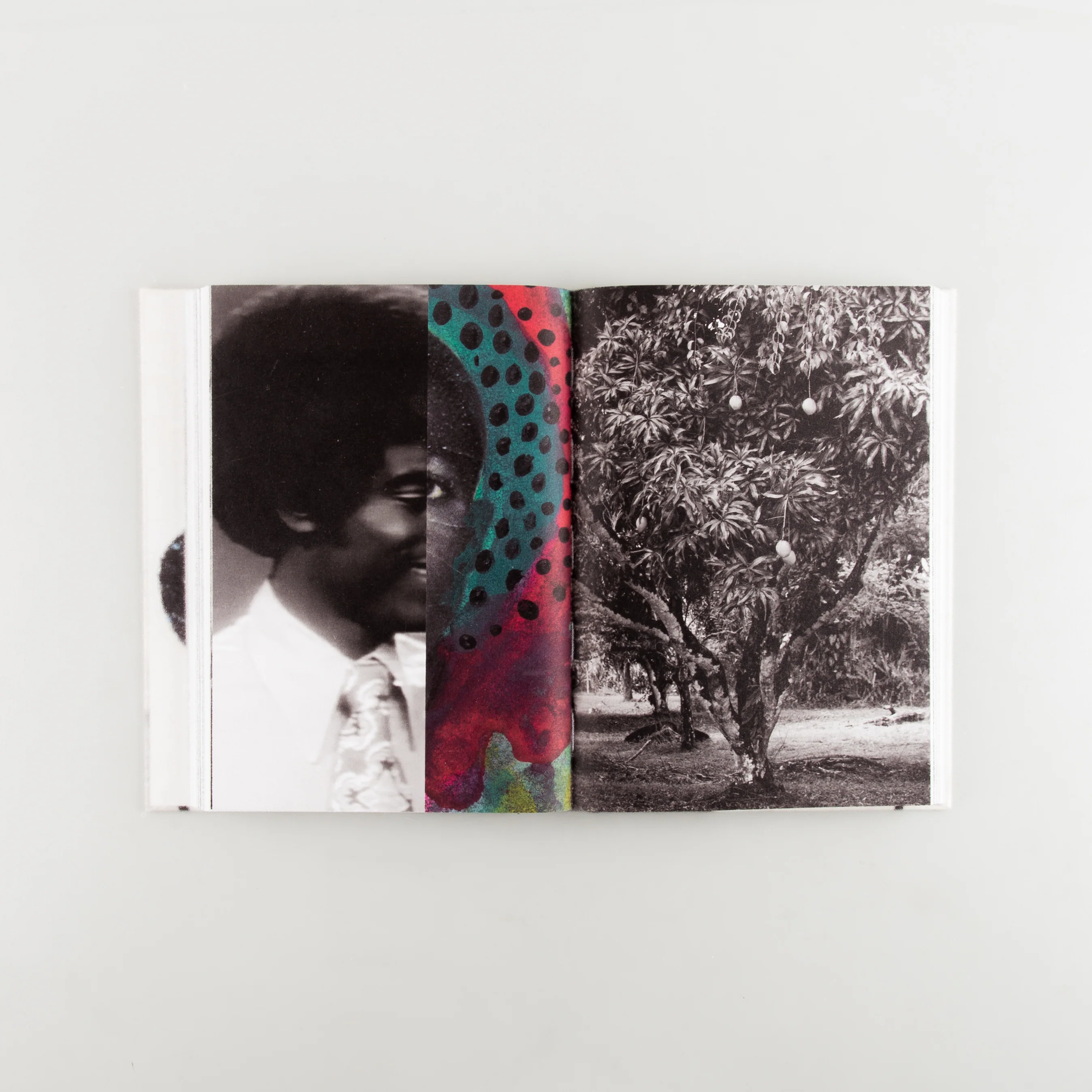 Passports - Image 8