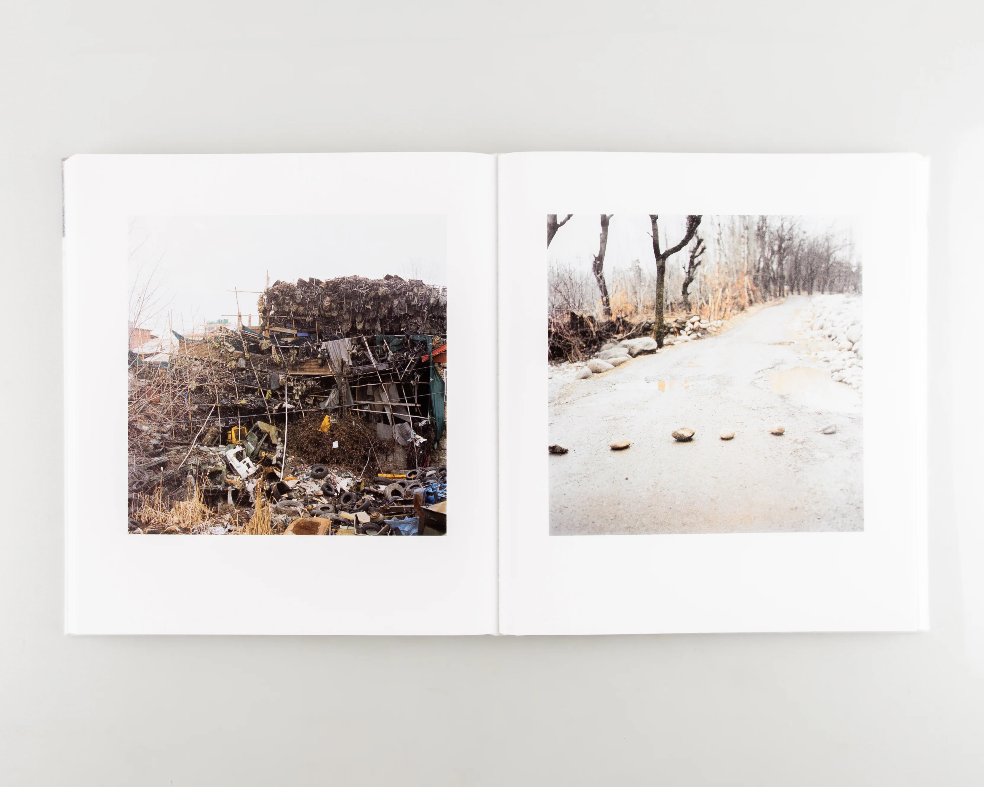 Snow (SIGNED) - Image 6